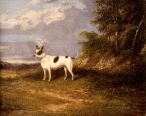 A terrier in a landscape