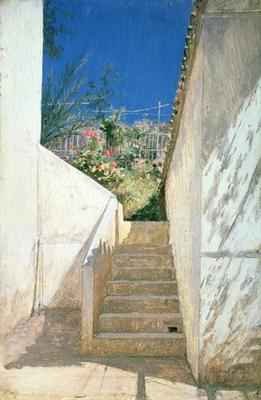 Steps in a Garden, Algeria