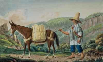 Conveyance of the Mail in Colombia