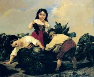 Children Looking Under a Cabbage