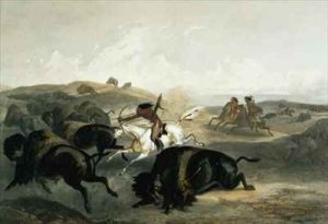 Indians Hunting the Bison