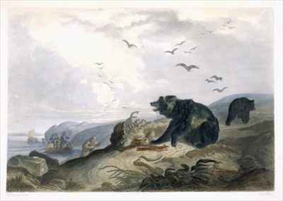 Hunting of the Grizzly Bear