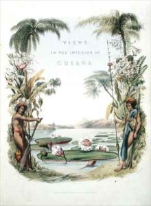 Frontispiece to 'Views in the Interior of Guiana'