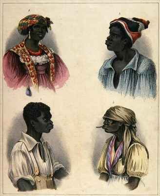 Creole Negroes