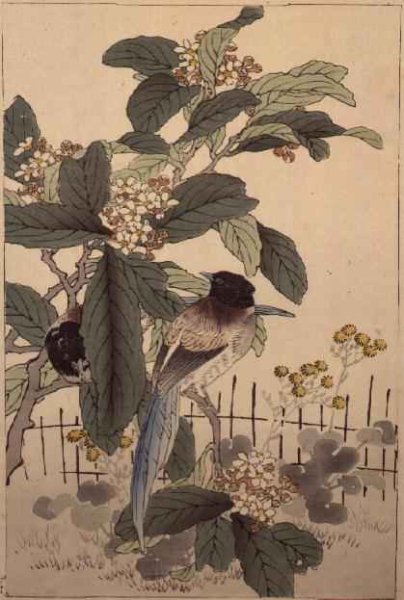 Blue tailed birds among the blossom from Bunrei Kacho Gafu