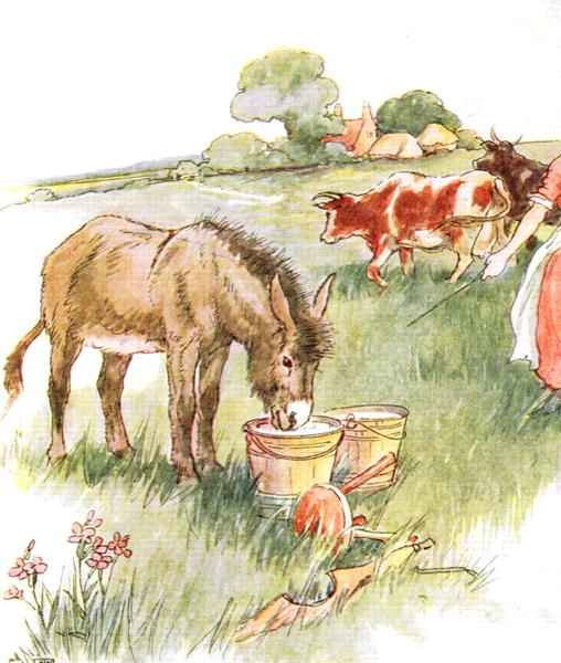 Saw two pails full of milk and had a long lovely drink