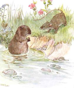 'Called on Squire Water Rat, old friend of the family', illustration from 'The Mischievious Mousie Book'