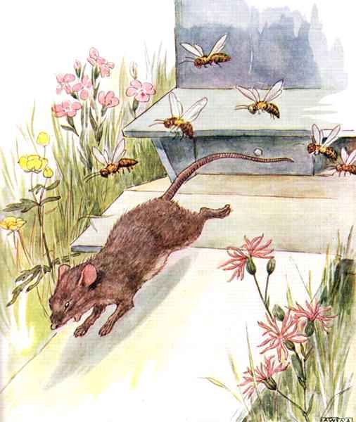 'They rushed at me buzzing and humming and tried to sting', illustration from 'The Mischievious Mousie Book'