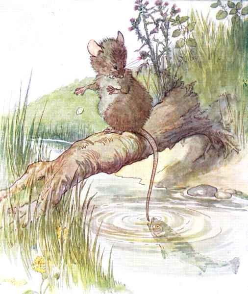 'A fish came along and gave it a sharp nip', illustration from 'The Mischievious Mousie Book'