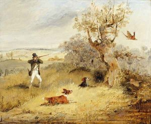 Pheasant Shooting