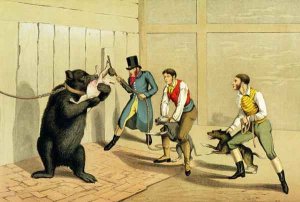 Bear Baiting