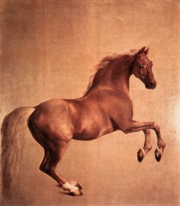 Whistlejacket  1761-62