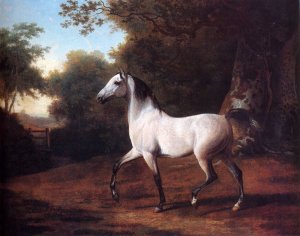 A Carriage Horse