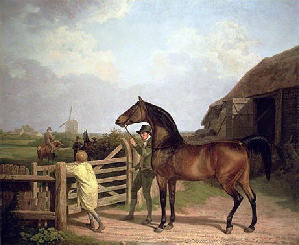 Bay Ascham   A Stallion Led Through A Gate To A Mare