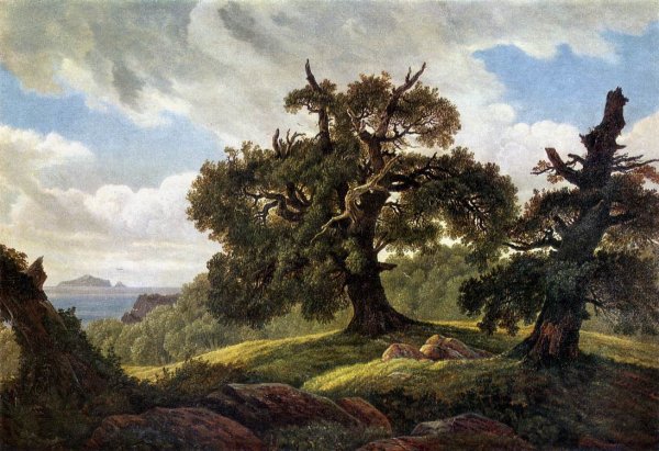 Oaks at the Sea Shore 1835