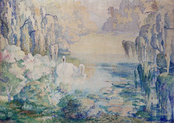 Swans On A Lake