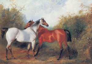 A strawberry roan and a bay hunter in a landscape