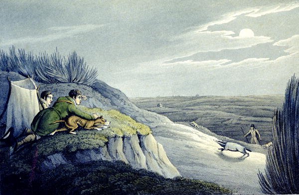 Badger Catching from the National Sports of Great Britain 1823