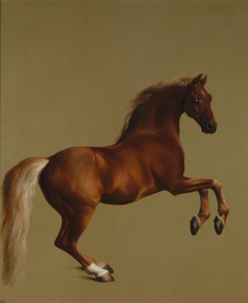 Whistlejacket, 1762