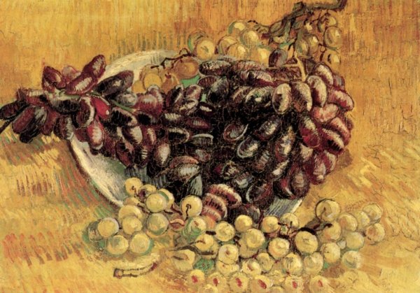 Still Life With Grapes