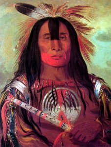 Buffalo Bull's Back Fat, Head Chief, Blood Tribe