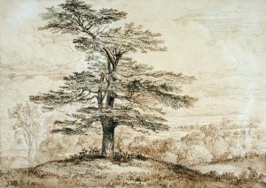 A Cedar on a Rise with a Herd of Deer Grouped Beneath its Shade, 1814