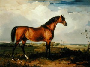 Eagle, a Celebrated Stallion