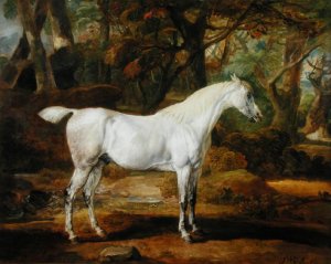 A Grey Arabian Stallion, the Property of Sir Watkin Williams-Wynn, c.1815-20