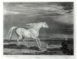 Marengo, engraved by the artist, pub. by R. Ackermann, 1824