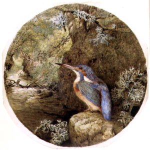 The Kingfishers Haunt, 1864