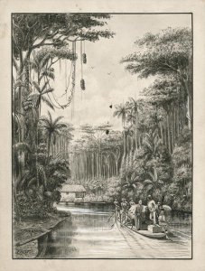 Grajau River, Maranhao, Brazil, frontispiece to Volume I of Three Thousand Miles through Brazil