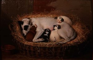 Bitch with her Puppies in a Wicker Basket