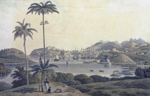 A View of the Town of St. George on the Island of Grenada, taken from the Belmont Estate, engraved by William Daniell (1769-1837), c.1810