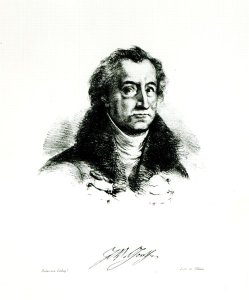 Johann Wolfgang Goethe 1749-1831 engraved by Delacroix