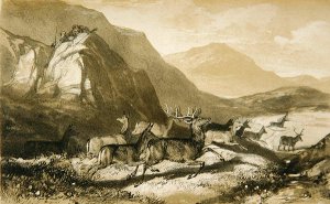 Shots from Cairn Cherie, from The Art of Deer Stalking Illustrated by a Narrative..., 1839