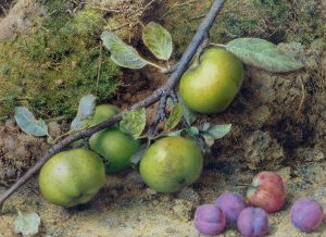 Apples and Plums on a Mossy Bank