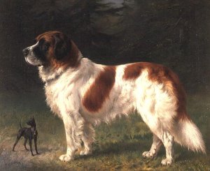 A St. Bernard and a Miniature Pincher