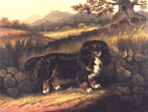 King Charles Spaniel Fuss in a Landscape