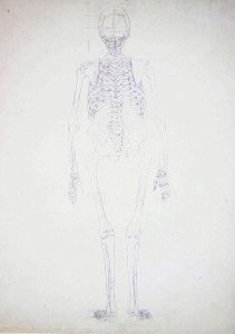Study of the Human Figure, Posterior View, Diagram for Key to Table II, from A Comparative Anatomical Exposition of the Structure of the Human Body with that of a Tiger and a Common Fowl, c.1795-1806