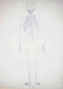 Study of the Human Figure, Posterior View, Diagram for Key to Table II, from A Comparative Anatomical Exposition of the Structure of the Human Body with that of a Tiger and a Common Fowl, c.1795-1806