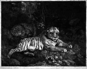 Two Tygers, engraved by the artist, pub. 1788