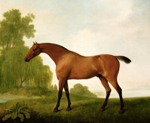 A Bay Thoroughbred in a Landscape, 1801