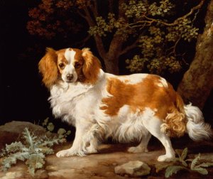 A Liver and White King Charles Spaniel in a Wooded Landscape, 1776