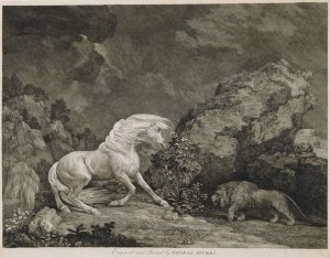 A Horse Affrighted by a Lion, engraved by the artist