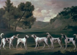 Foxhounds in a landscape, 1762