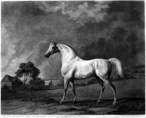 Mambrino, engraved by George Townley Stubbs 1756-1815 pub. 1794