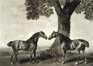 Two Hunters, engraved by G.T. Stubbs bap.1748-c.1815