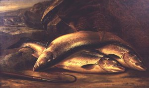 Still Life of Salmon