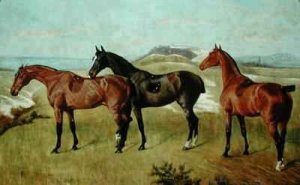 Three Horses Whissendine, Swallow and Tiptop, 1886