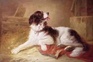 Portrait of a Spaniel